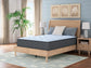 Destin Cove Plush Queen Mattress